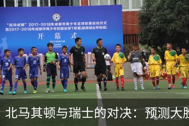 北马其顿与瑞士的对决：预测大胜，瑞士稳步前行